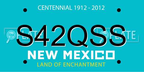 S42QSS New Mexico License Plate