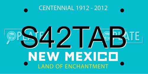 S42TAB New Mexico License Plate