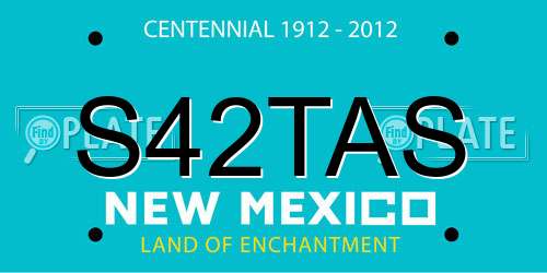 S42TAS New Mexico License Plate