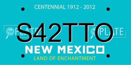 S42TTO New Mexico License Plate