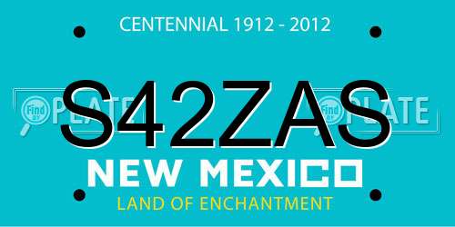 S42ZAS New Mexico License Plate