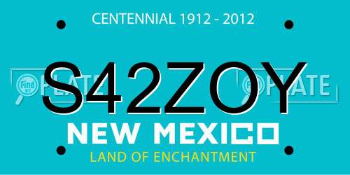 S42ZOY New Mexico License Plate