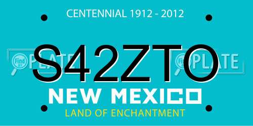 S42ZTO New Mexico License Plate