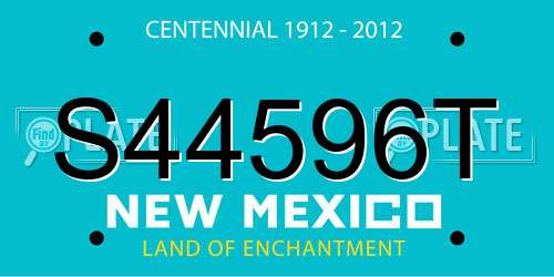 S44596T New Mexico License Plate