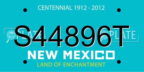 S44896T New Mexico License Plate