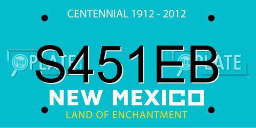 S451EB New Mexico License Plate