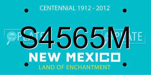 S4565M New Mexico License Plate