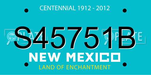 S45751B New Mexico License Plate
