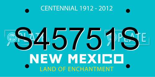 S45751S New Mexico License Plate
