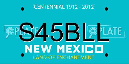 S45BLL New Mexico License Plate
