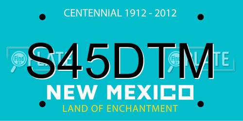 S45DTM New Mexico License Plate