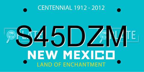S45DZM New Mexico License Plate