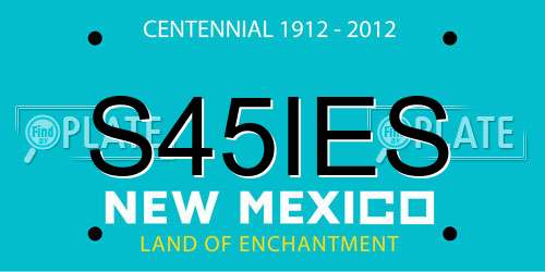 S45IES New Mexico License Plate