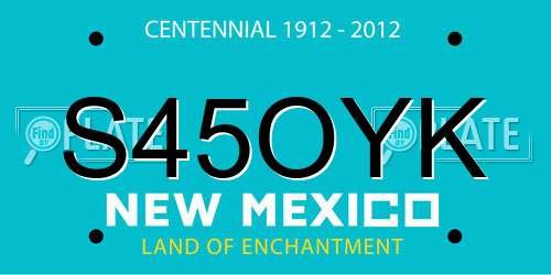 S45OYK New Mexico License Plate
