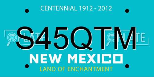 S45QTM New Mexico License Plate