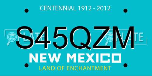 S45QZM New Mexico License Plate