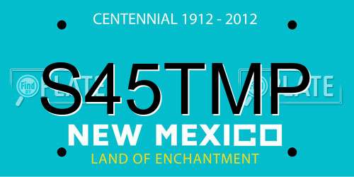 S45TMP New Mexico License Plate