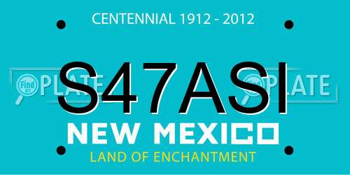 S47ASI New Mexico License Plate