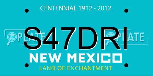 S47DRI New Mexico License Plate