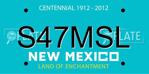 S47MSL New Mexico License Plate