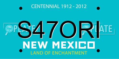 S47ORI New Mexico License Plate