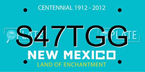 S47TGG New Mexico License Plate