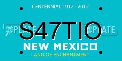 S47TIO New Mexico License Plate