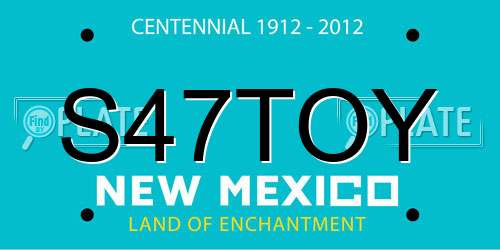 S47TOY New Mexico License Plate