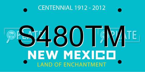 S480TM New Mexico License Plate