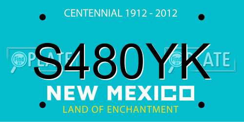 S480YK New Mexico License Plate