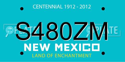S480ZM New Mexico License Plate