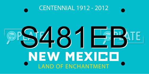 S481EB New Mexico License Plate