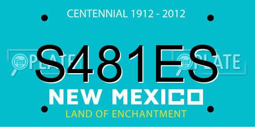 S481ES New Mexico License Plate
