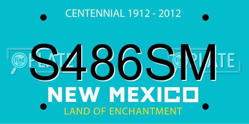 S486SM New Mexico License Plate