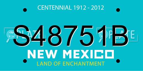 S48751B New Mexico License Plate