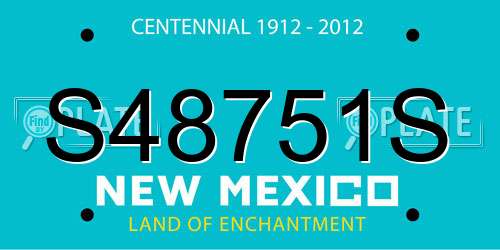 S48751S New Mexico License Plate