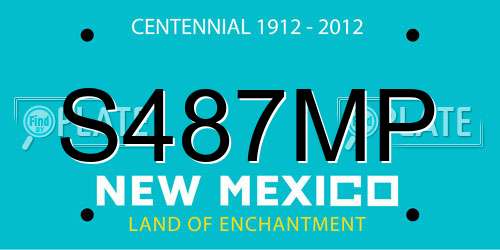 S487MP New Mexico License Plate