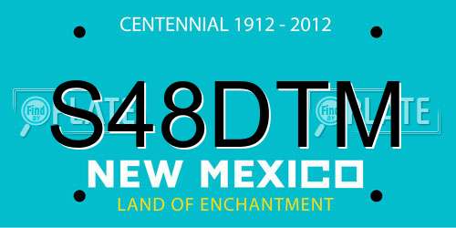 S48DTM New Mexico License Plate