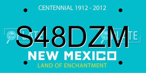 S48DZM New Mexico License Plate