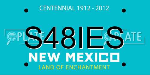 S48IES New Mexico License Plate