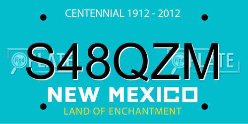 S48QZM New Mexico License Plate