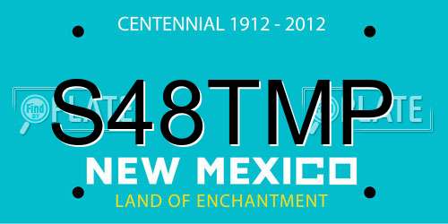 S48TMP New Mexico License Plate