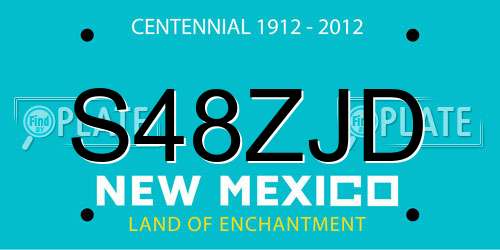 S48ZJD New Mexico License Plate