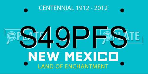 S49PFS New Mexico License Plate