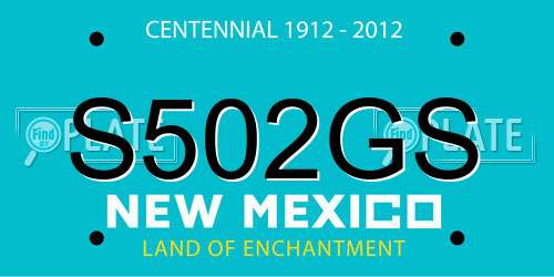 S502GS New Mexico License Plate