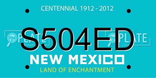 S504ED New Mexico License Plate