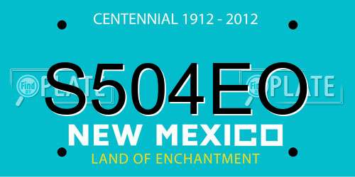 S504EO New Mexico License Plate