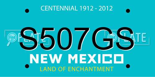 S507GS New Mexico License Plate