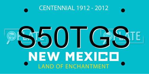 S50TGS New Mexico License Plate