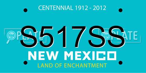 S517SS New Mexico License Plate